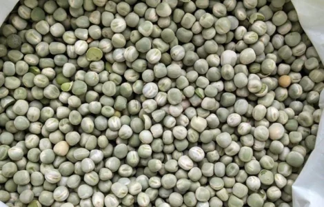 Продаємо горох(жовтий)