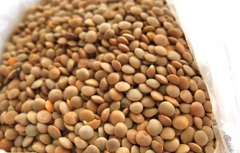 Куплю чечевицу