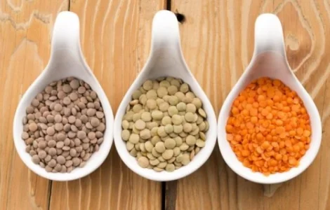 Сочевиця харчова сорт CDC Реджина CL* Канадська