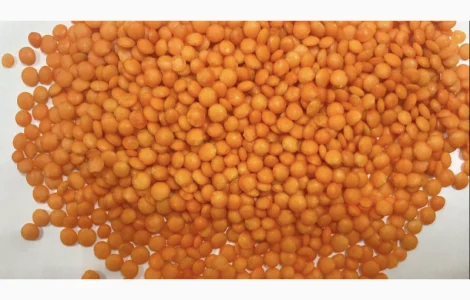 Чечевица красная оптом