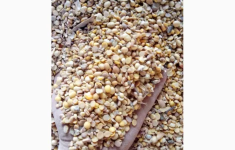 Куплю половинки сої та відходи кукурудзи