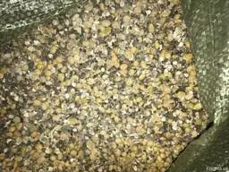 Куплю зерновідходи кукурудзи та половинки сої