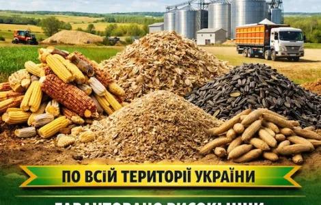 Покупаем зерноотходы и некондицию