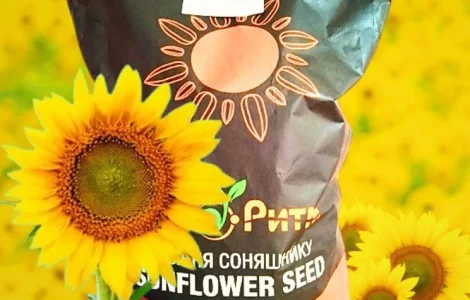 Соняшник Бомонд під гербіцид Гранстар