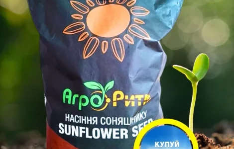 Соняшник Бомонд під Гранстар