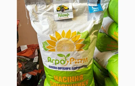 Соняшник Рекольд
