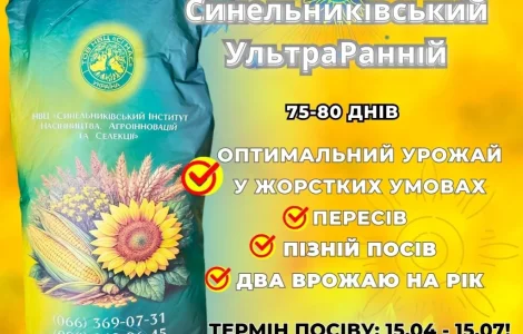 Гібрид соняшника Євро