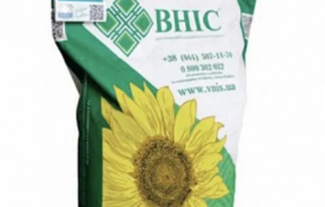 Насіння Соняшника Армагедон