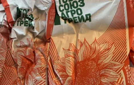 Насіння Гібриду Соняшника Купава ААА 335 7+ Під Гранстар