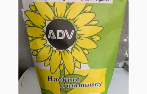 Насіння соняшнику "СОЛО" от AgroDV в Черкассах