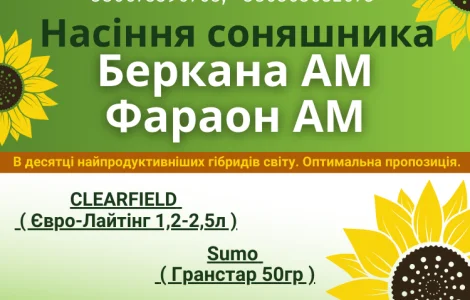 Насіння соняшника. Доступні