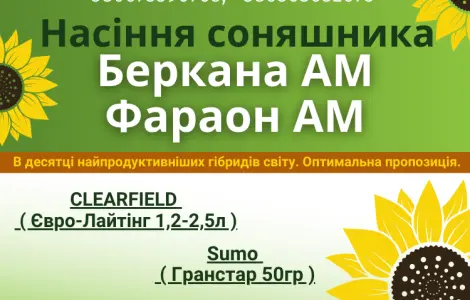 Насіння соняшника. Доступно для продажу