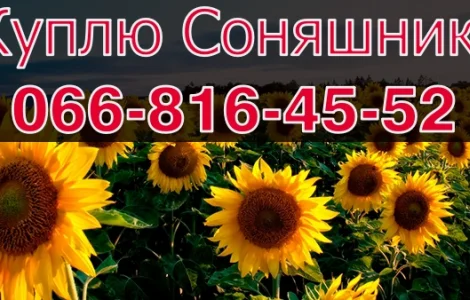 Підприємство переробник запрошує до співпраці виробників Соняшника