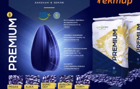 ТОР 7+ NS H 7749 гибрид подсолнечника