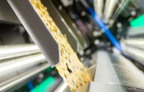 Семечка калібрована Лакомка насіння соняшника