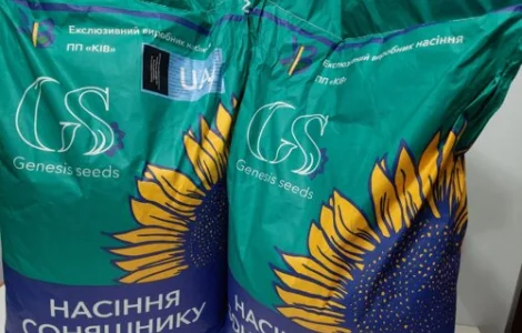 Семена подсолнечника ПРИВАТ под гранстар