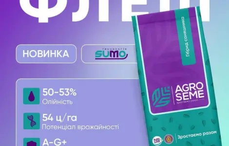 Насіння соняшника гібрид Флеш від виробника
