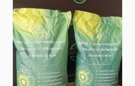 Насіння сортового соняшника Сур