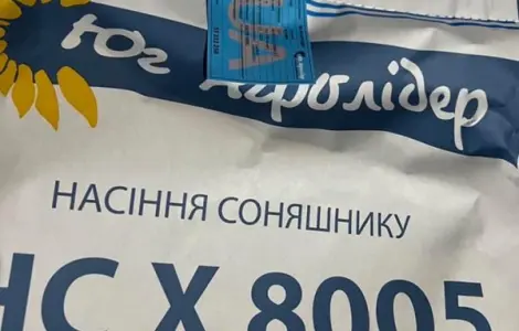 Насіння соняшника гібрид НС Х 8005