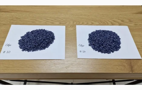 Насіння соняшника Євро під євролайтинг