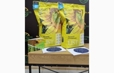 Насіння соняшнику Командор