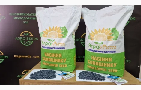 Насіння Соняшника Альдазор Під Гранстар