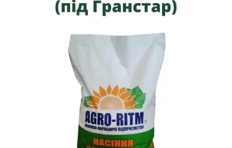 Насіння соняшника Рекольд під гранстар