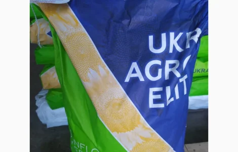 Продам семена подсолнечника Рапид (фракция премиум) под технологию Экспресс