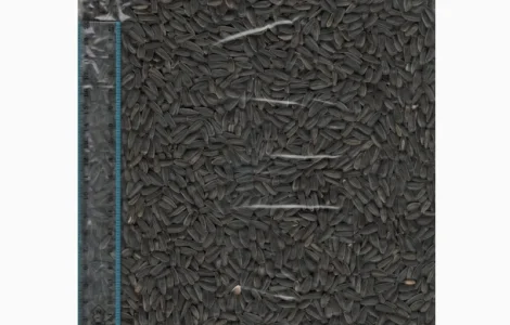 Соняшник високоолійній продаж