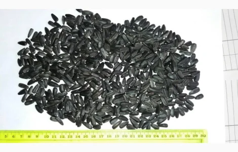 Соняшник продаж