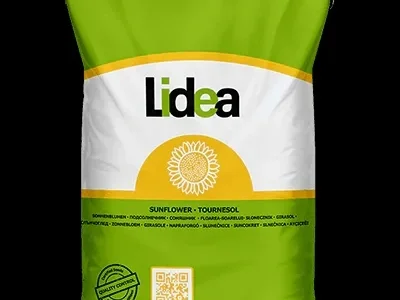 Насіння соняшнику ЕС Армоніка СУ – високопродуктивний гібрид для Експрес-технології