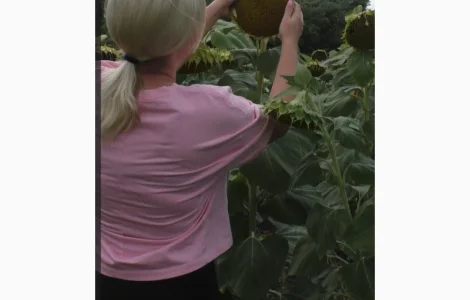 Насіння соняшника Даглас A-G гранстар 50гр