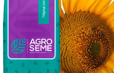 Семена подсолнечника НСХ 6045