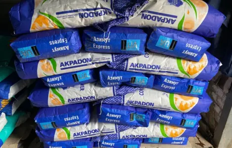 Насіння соняшника Орієнтир під гранстар OR 7 на продаж