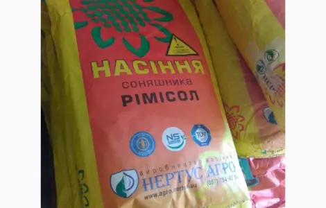 Гібриди соняшнику Фалкон - стійкі до заразихи