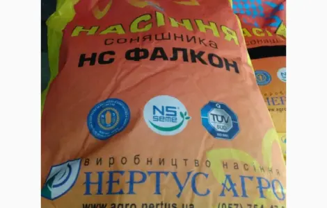 Гібрид соняшника НС Фалкон (A-G+)
