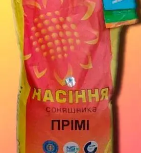 Гибриды подсолнечника Римисол и Фалкон в продаже