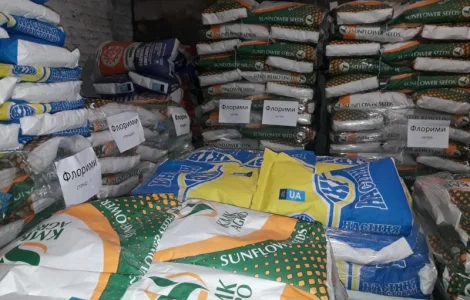 Подсолнечник Лейила (A-F)