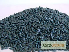 Продам семена подсолнечника под гранстар