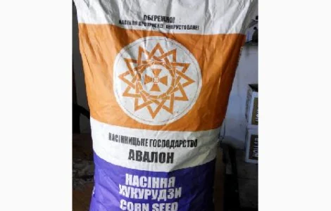 Продаются семена подсолнечника Златсон