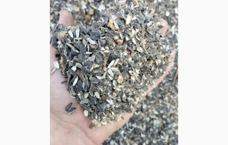 Закуповуємо відходи соняшника