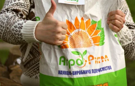 Насіння соняшнику Рекольд під Гранстар