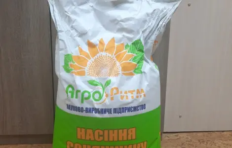 Насіння соняшнику Рекольд – висока врожайність