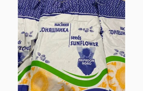 Насіння соняшника Азимут (Гранстар) Дніпропетровська обл