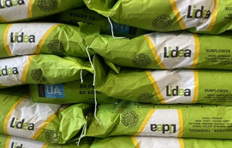 Насіння соняшнику ЕС Белла - Lidea(A-G)