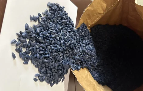 Насіння соняшника НЕЙМАР ПЛЮС (Стандарт)(Екстра)