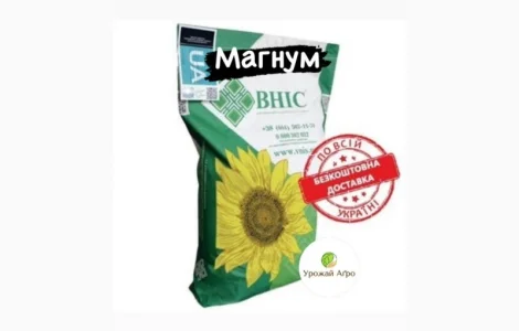 Насіння соняшнику МАГНУМ