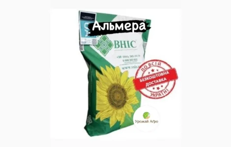 АЛЬМЕРА насіння соняшнику