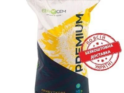 Насіння соняшнику АВАЛОН 7