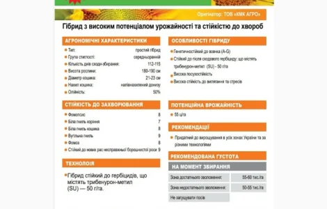 Насіння соняшника Даглас (Екстра ) ( Екстра +) (Стандарт +) 2023 рік